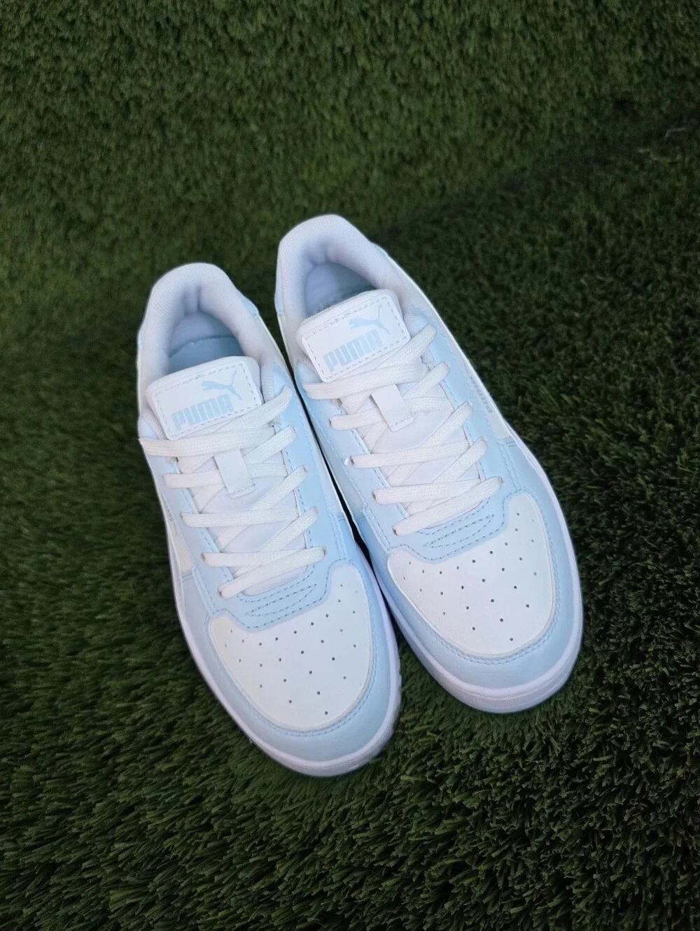 Puma caven low